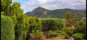 Hotels Hotel Cala di l'Oru : photos des chambres