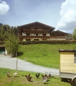 Biobauernhof Habersatter - 福尔施陶