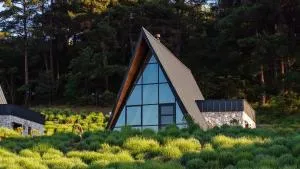 Eva Lavanda Kazdağları - Yukarıçavuş