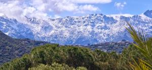 Hotels Hotel Cala di l'Oru : photos des chambres