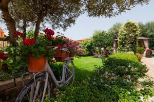 B&B L'Asfodelo img11