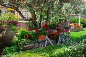 B&B L'Asfodelo img13