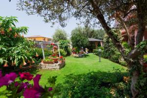 B&B L'Asfodelo img16