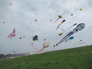 Maisons de vacances Kerandro : photos des chambres