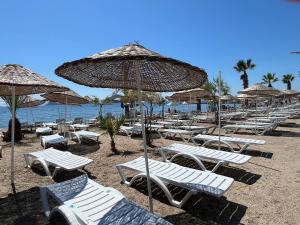 Bodrum-Turgutreis Merkezde Plaja 50 Metre uzaklıkta 1 ve 2 numaralı daireler