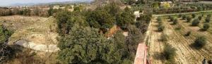 Campings La Roulotte des Oliviers : photos des chambres