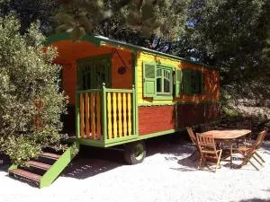 La Roulotte des Oliviers - Saint-Pierre-de-Vassols