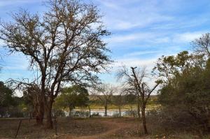 Foxy Crocodile Bush Lodge & Kruger Safaris - No Loadshedding