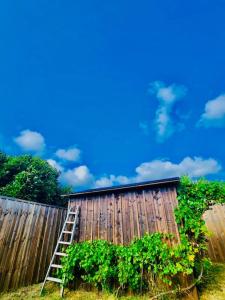 Maisons de vacances Entre pin et ocean carcans ville : photos des chambres