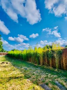 Maisons de vacances Entre pin et ocean carcans ville : photos des chambres