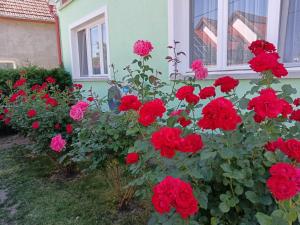 Margó Vendégházak