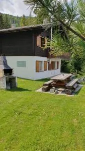 Chalet Falk - Törbel