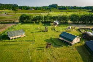 Glamping Hoeve Klein Haneveld - De Bus