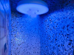 Hotels Relais et Chateaux Thalasso & Spa Ile de la Lagune : photos des chambres