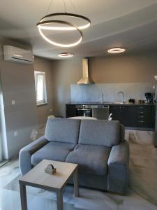 Apartment Luki 