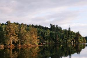 Chalets Lodge avec SPA privatif - Foret et Lac : photos des chambres