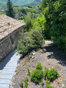 Maisons de vacances Gite Le Cabanon : photos des chambres