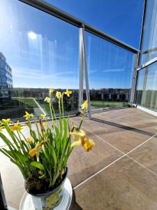 Elija Sunny Family Apartment