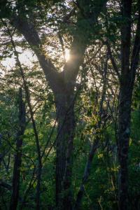 Marbella Retreats Casa Azul