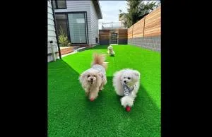 KOYA TRIBE VILLA - Vacation STAY 63983v - Narusawa