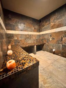 Well & S Spa privatif