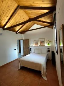 La Casa del Alcalde Casa Rural - Campo de Criptana