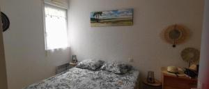 Appartements Reve de Bisca Appartement spacieux avec jardin privatif piscine et parking prives : photos des chambres