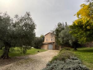 Maisons de vacances La Belle Brise des Oliviers : photos des chambres