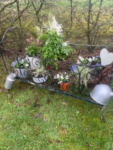 Cabane Insolite Cosy