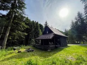 Piwniczna 187 - Vintage House - Łazy