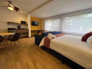 Dk3-Complete Studio in Zona Viva