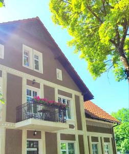 Apartamentai Upės Namai