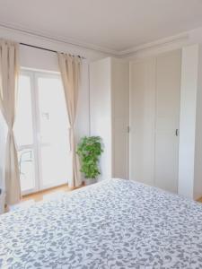 Rooms and Apartments Robert