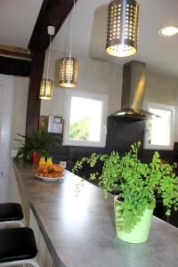 Maisons de vacances La Cour Saint Richer : photos des chambres