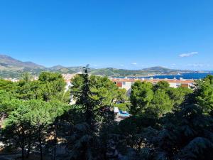 Appartements Charmant T2 calme avec parking, ascenseur et loggia a Banyuls-sur-Mer - FR-1-309-12 : photos des chambres