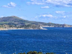 BANYULS-SUR-MER, appartement T2 WIFI, ascenseur - FR-1-309-30