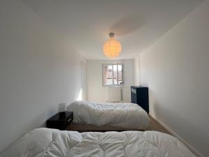 Maisons de vacances Maison moderne a 400m de la plage avec terrasses et equipements complets a St-Jean-de-Luz - FR-1-239-878 : photos des chambres