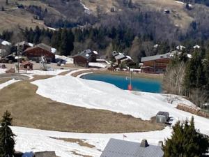 Cohennoz Le Cernix - Appartement montagne avec piscine proche pistes