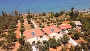 Terra Blue Suites - Dimitra