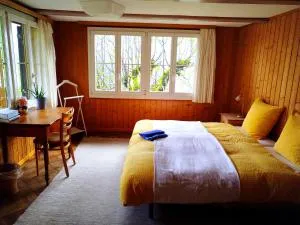 Sonnenhof Wengen - First Hotel of Wengen - Kleine Scheidegg