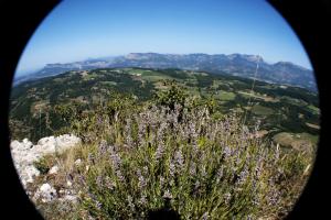 B&B / Chambres d'hotes Chambres d-hotes Le St Maurice : photos des chambres