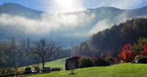 B&B / Chambres d'hotes Chambres d-hotes Le St Maurice : photos des chambres