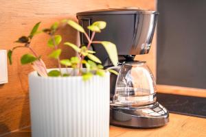 Einzimmer Wohlfühlapartment ZWEI klimatisiert