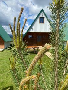 Family house Eagle Eye