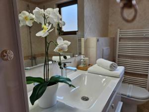 Apartman JASNA 