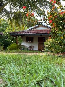 Prime Surfers Bungalow