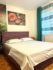 Apartament DANI - Tufjer