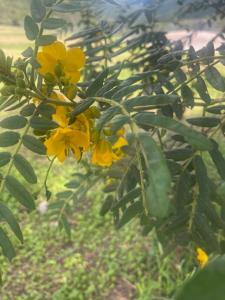 Dogsland Bellevue - Bienvenidos - Ferienwohnungen