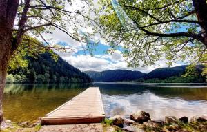 Maisons de vacances 5 Bedroom Nice Home In Xonrupt-Longemer : photos des chambres