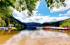 Maisons de vacances 5 Bedroom Nice Home In Xonrupt-Longemer : photos des chambres